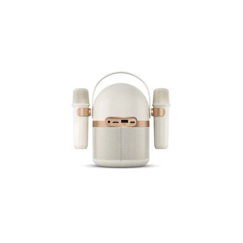 Parlante Philips TAS2509 20W