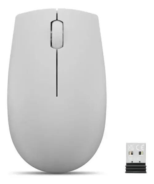 Mouse Lenovo 300 Wireless GY51L15687 Gris Artico